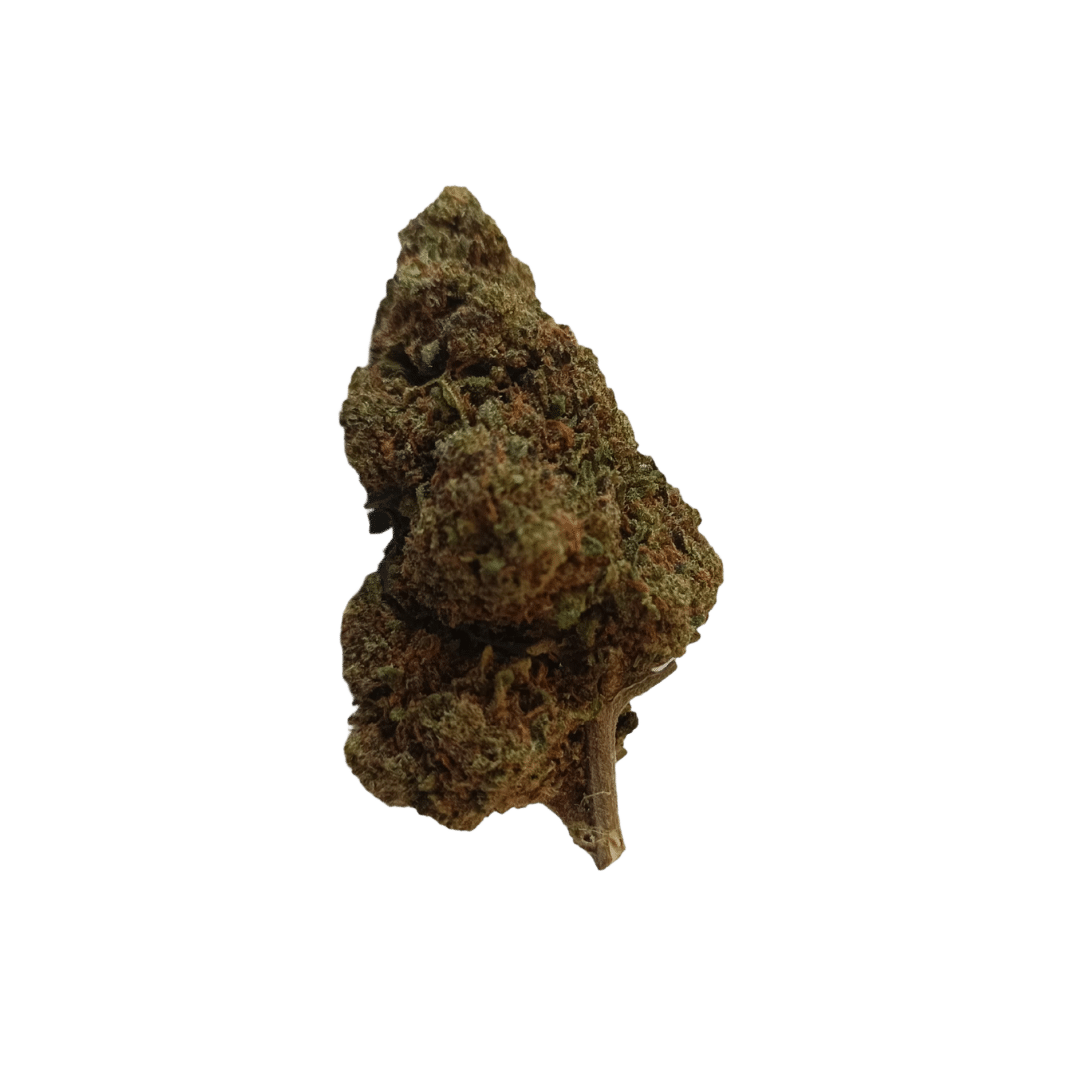 Fleur CBD AK 47 Découvrez l irrésistible sensation d exaltation